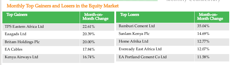 Equity Market Top Gainers and Losers - Monthly Commentary